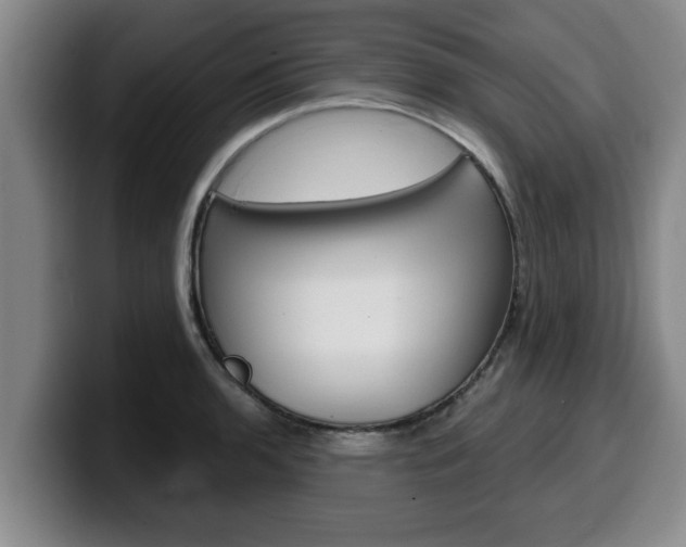 X0000100321136200806051344