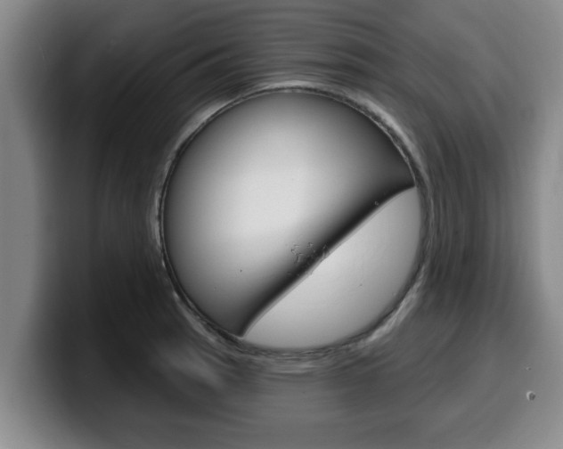 X0000100321137200806051344