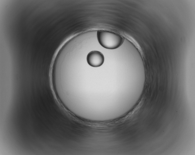 X0000100321138200806051344