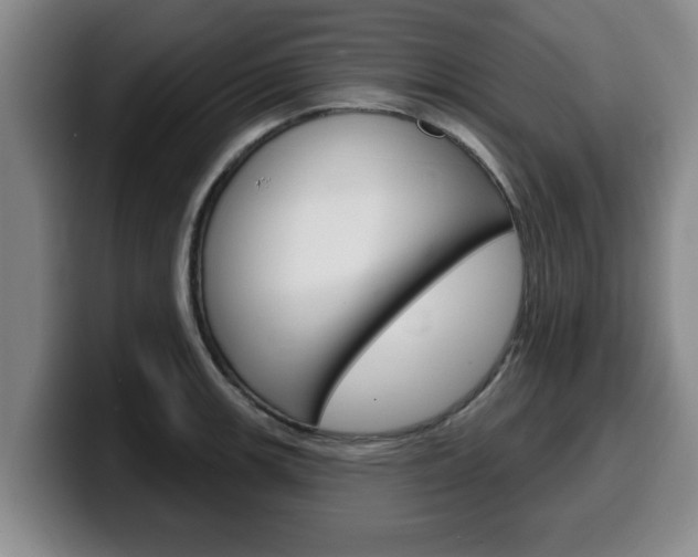 X0000100321139200806051344