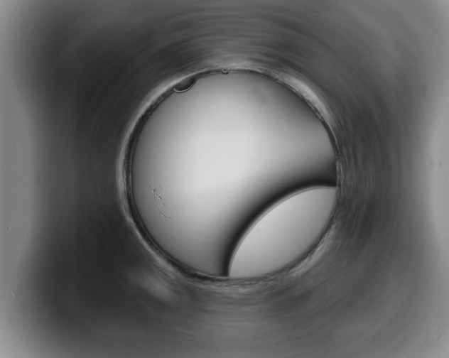 X0000100321141200806051344