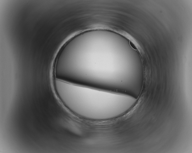 X0000100321142200806051344
