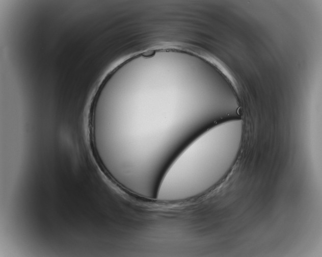 X0000100321143200806051344