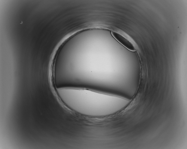 X0000100321144200806051344
