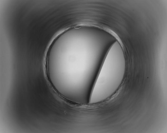 X0000100321146200806051344