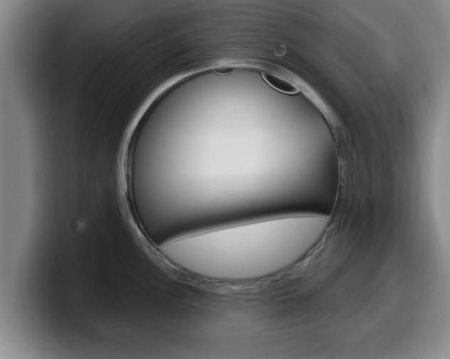 X0000100321148200806051344