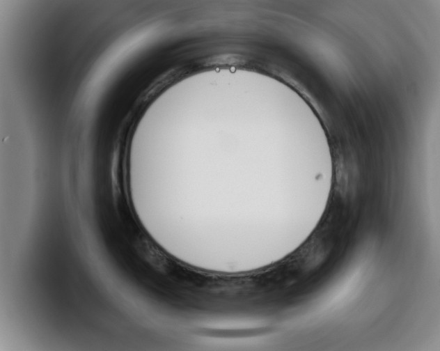 X0000100321150200806051344