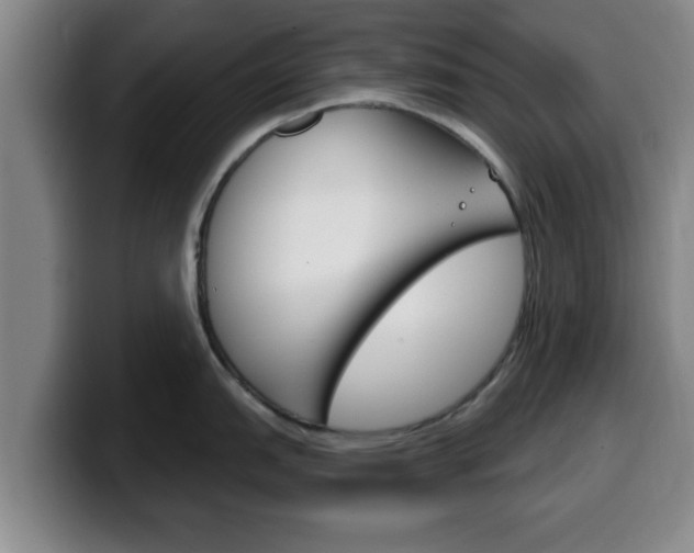 X0000100321151200806051344