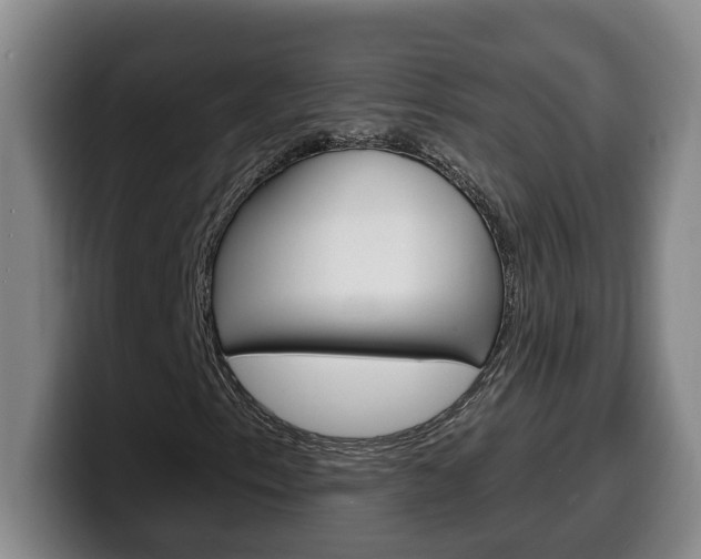 X0000100321153200806051344