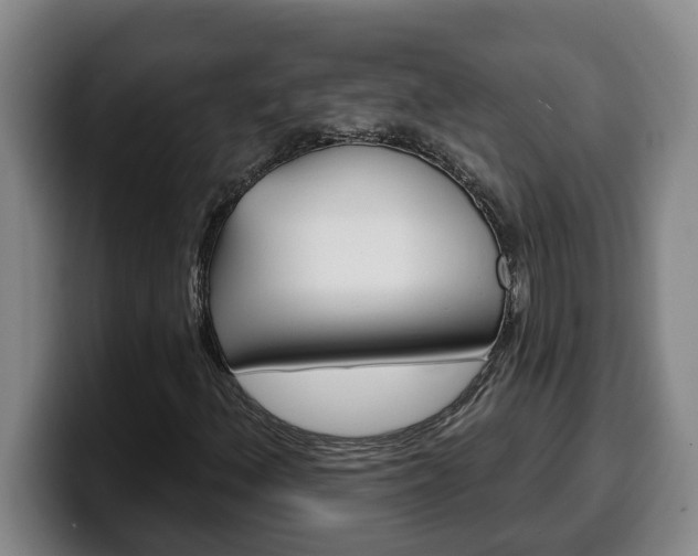 X0000100321156200806051344