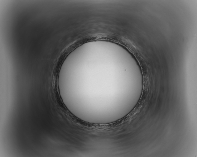 X0000100321158200806051344