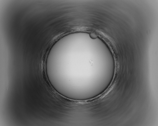 X0000100321161200806051344