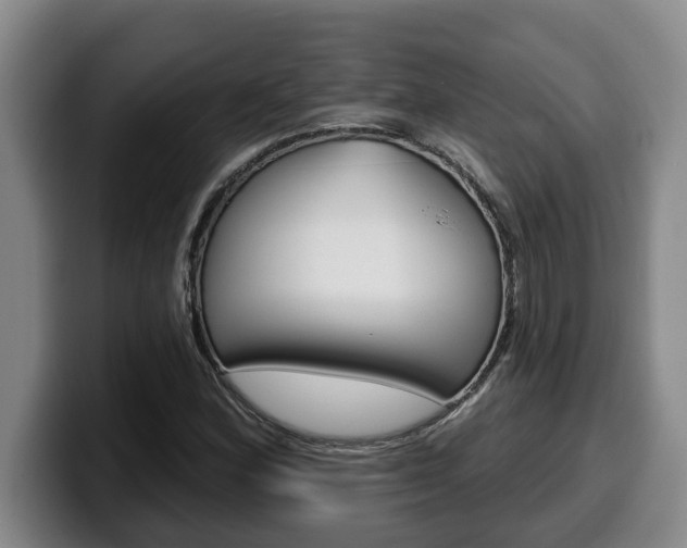 X0000100321164200806051344