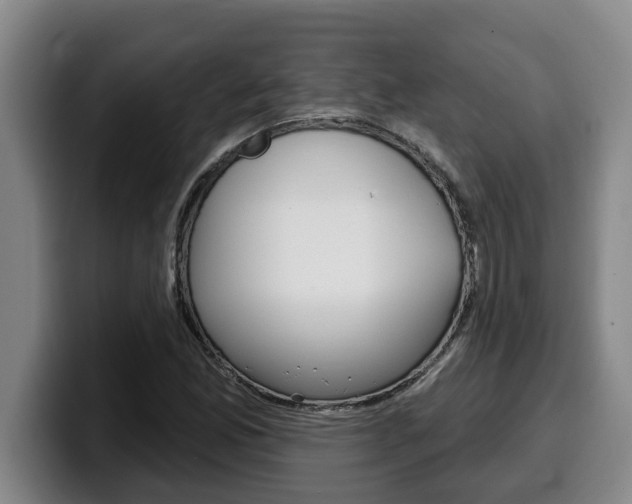 X0000100321165200806051344