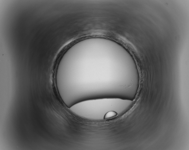X0000100321166200806051344