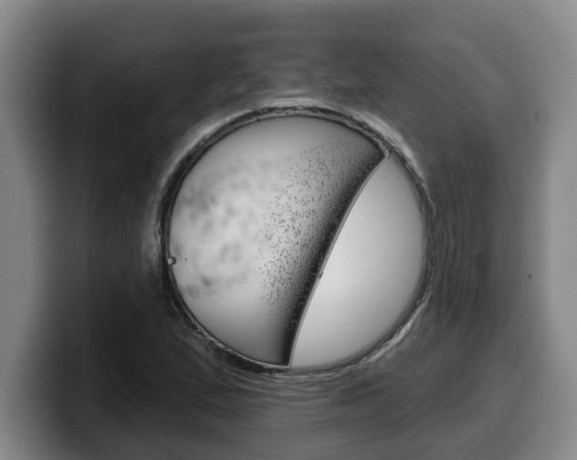 X0000100321167200806051344