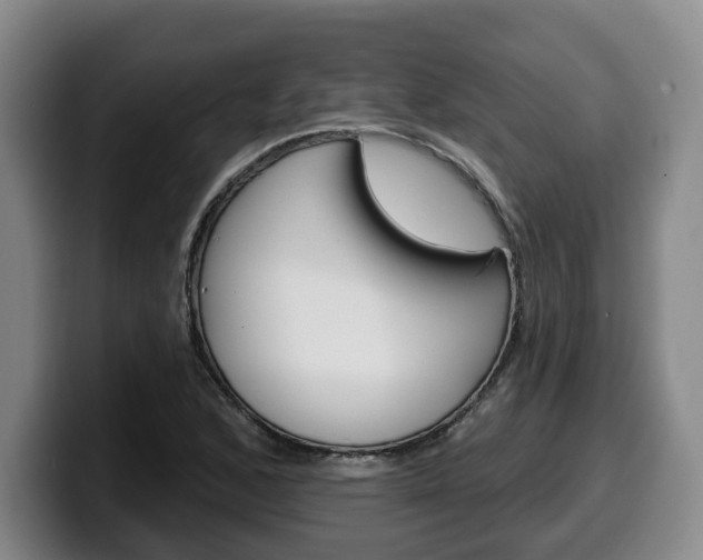 X0000100321168200806051344