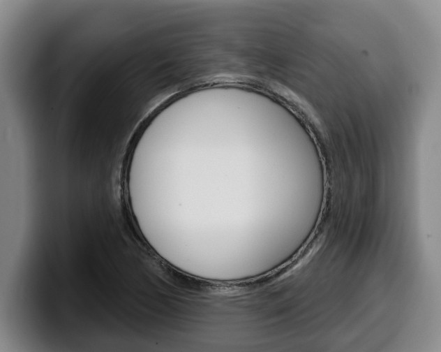 X0000100321170200806051344