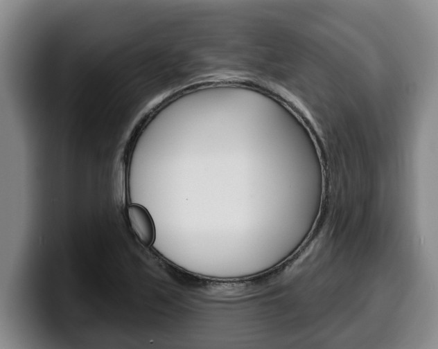X0000100321171200806051344