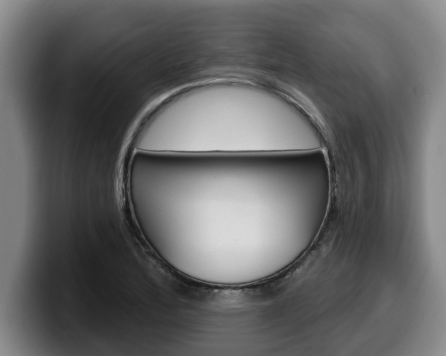 X0000100321172200806051343