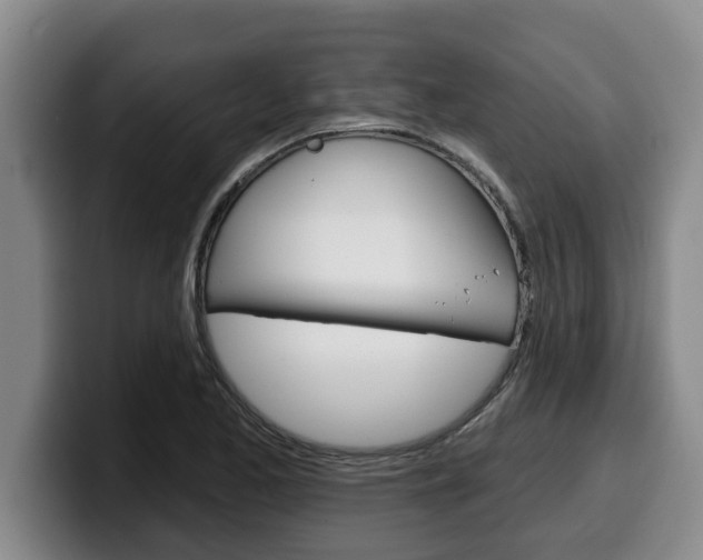 X0000100321173200806051343