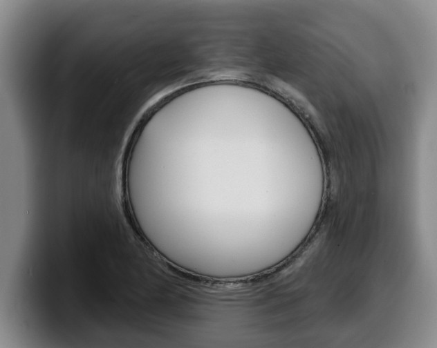 X0000100321174200806051343