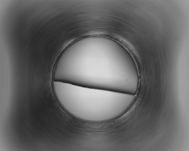 X0000100321177200806051343