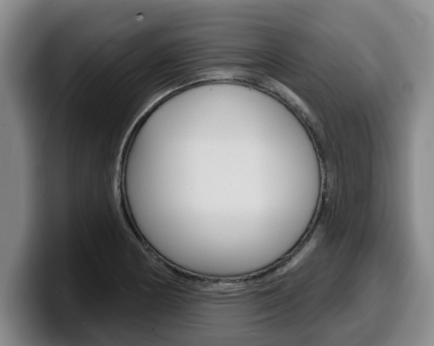 X0000100321178200806051343