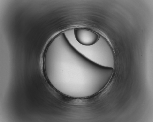 X0000100321179200806051343