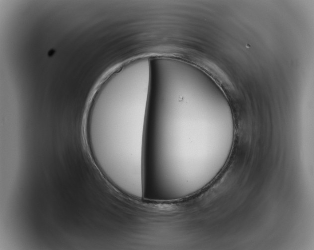 X0000100321180200806051343