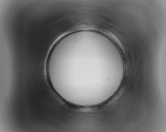 X0000100321182200806051343