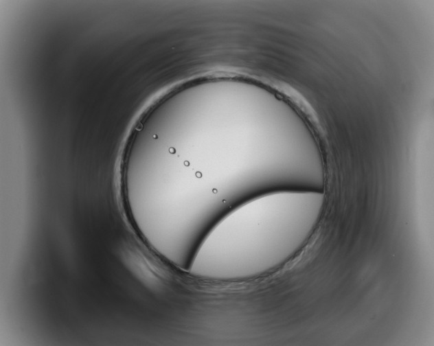 X0000100321183200806051343