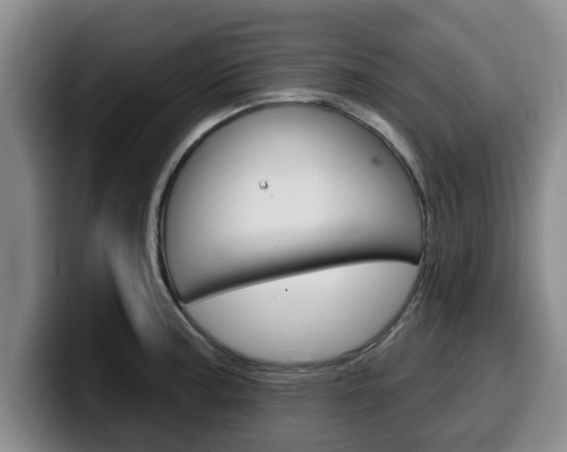 X0000100321187200806051343