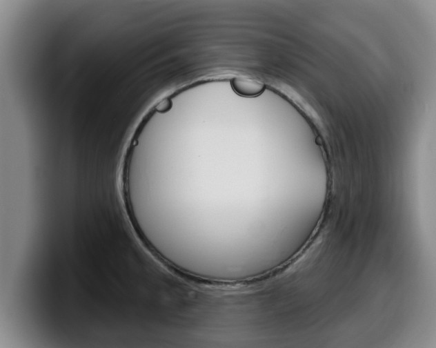X0000100321189200806051343