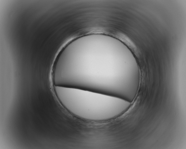 X0000100321190200806051343