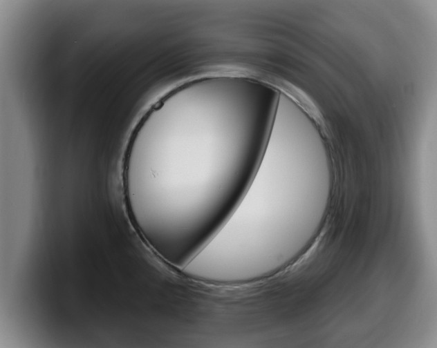 X0000100321192200806051343