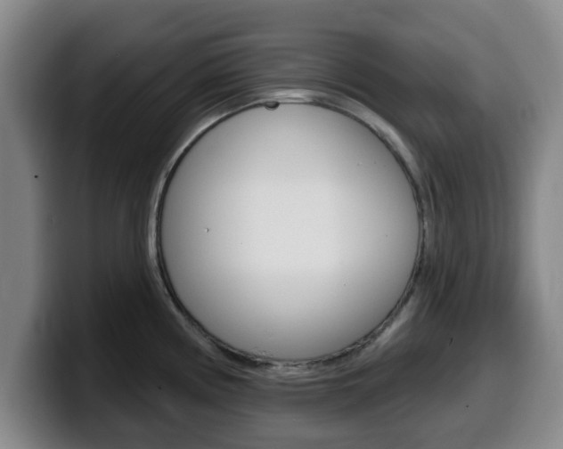 X0000100321194200806051343