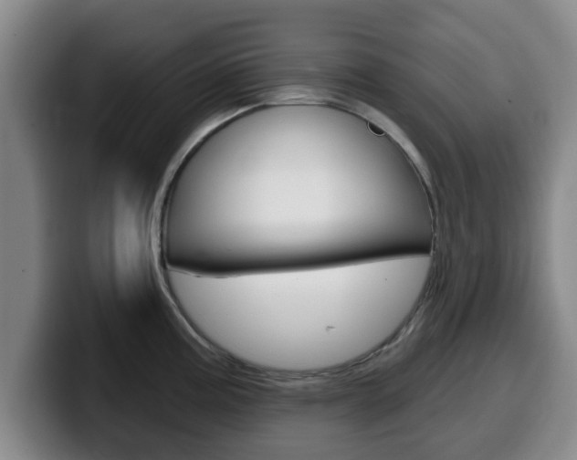 X0000100321195200806051343