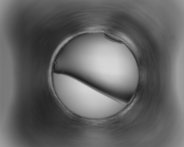 X0000100321196200806051343