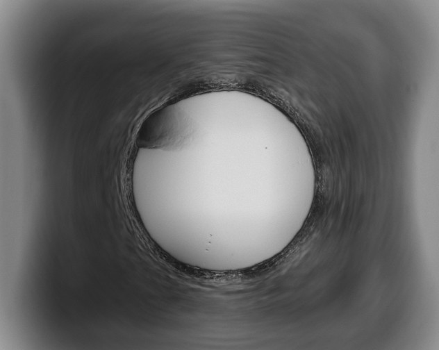 X0000100321201200806051342