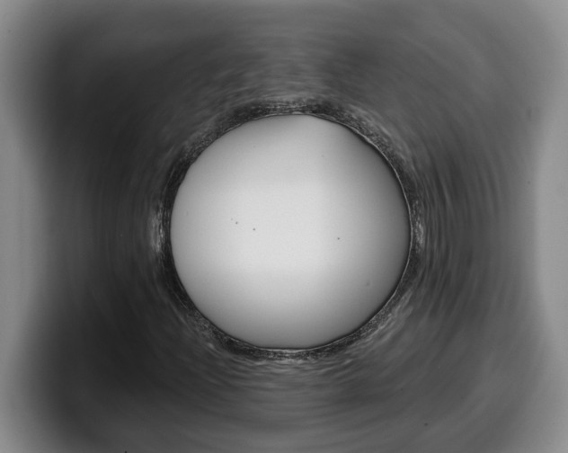 X0000100321204200806051342
