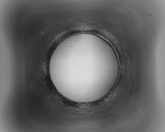 X0000100321205200806051343