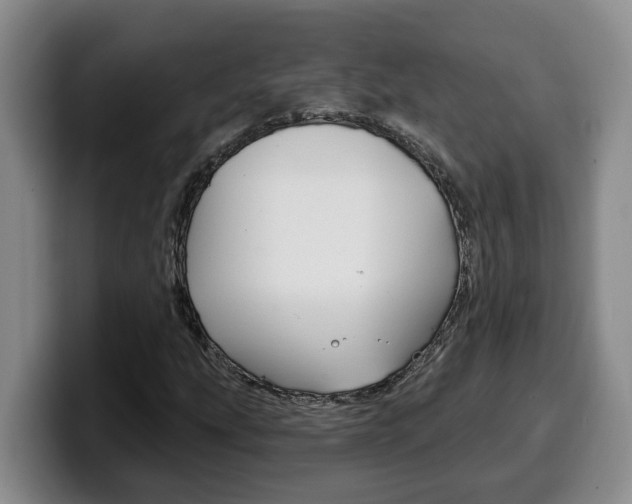 X0000100321207200806051343