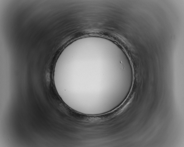 X0000100321209200806051343