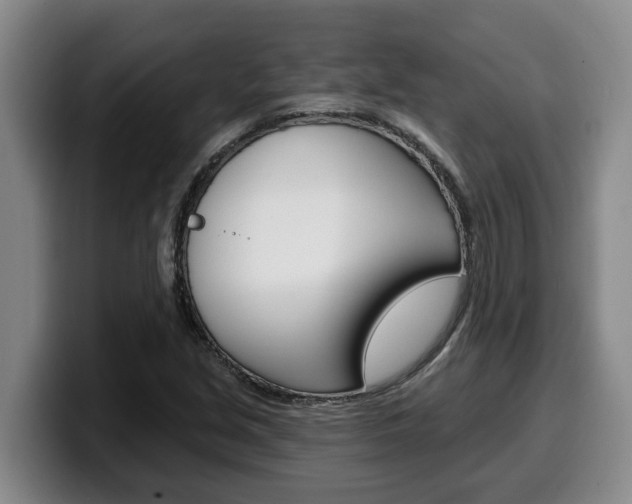 X0000100321213200806051343