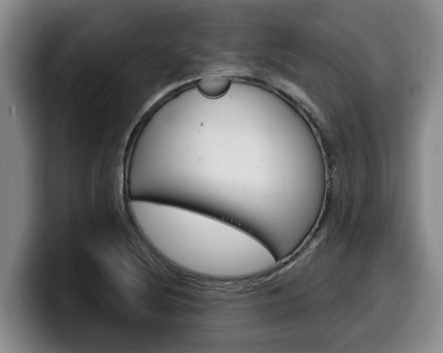 X0000100321220200806051343
