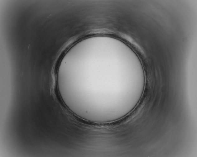 X0000100321221200806051343