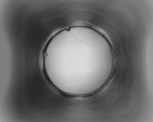 X0000100321227200806051343