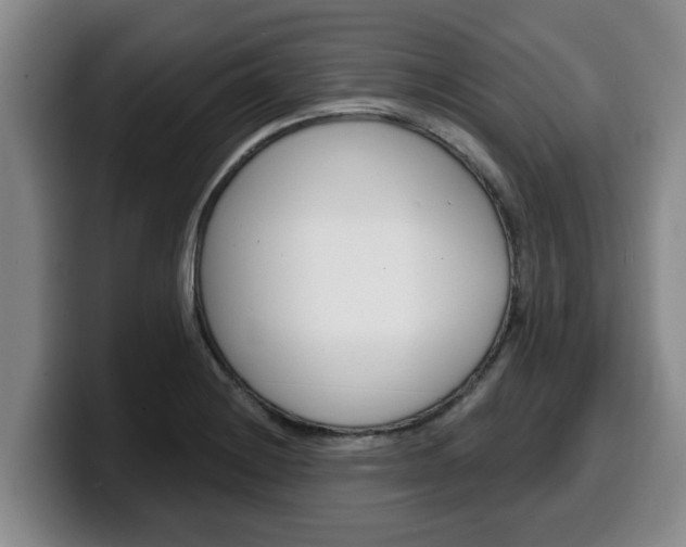 X0000100321228200806051343
