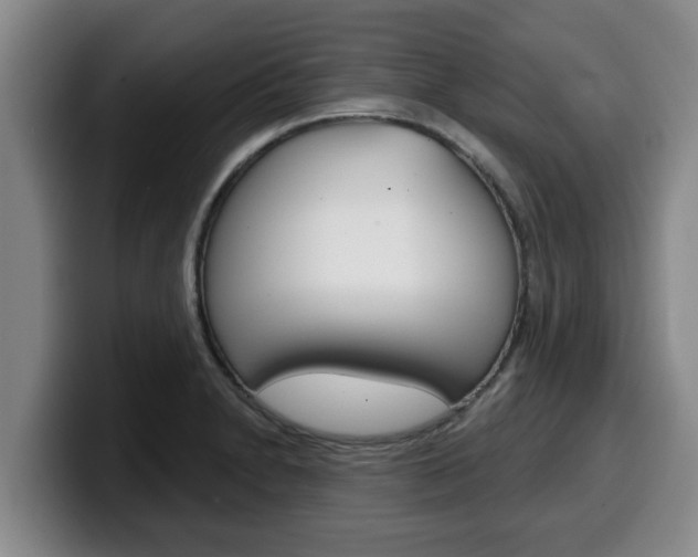 X0000100321230200806051343
